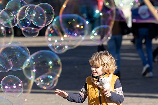 15 février 2019 <small>© Rémy SALAÜN</small>